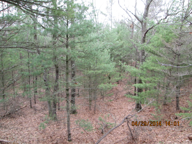 Real estate pentwater mi for sale